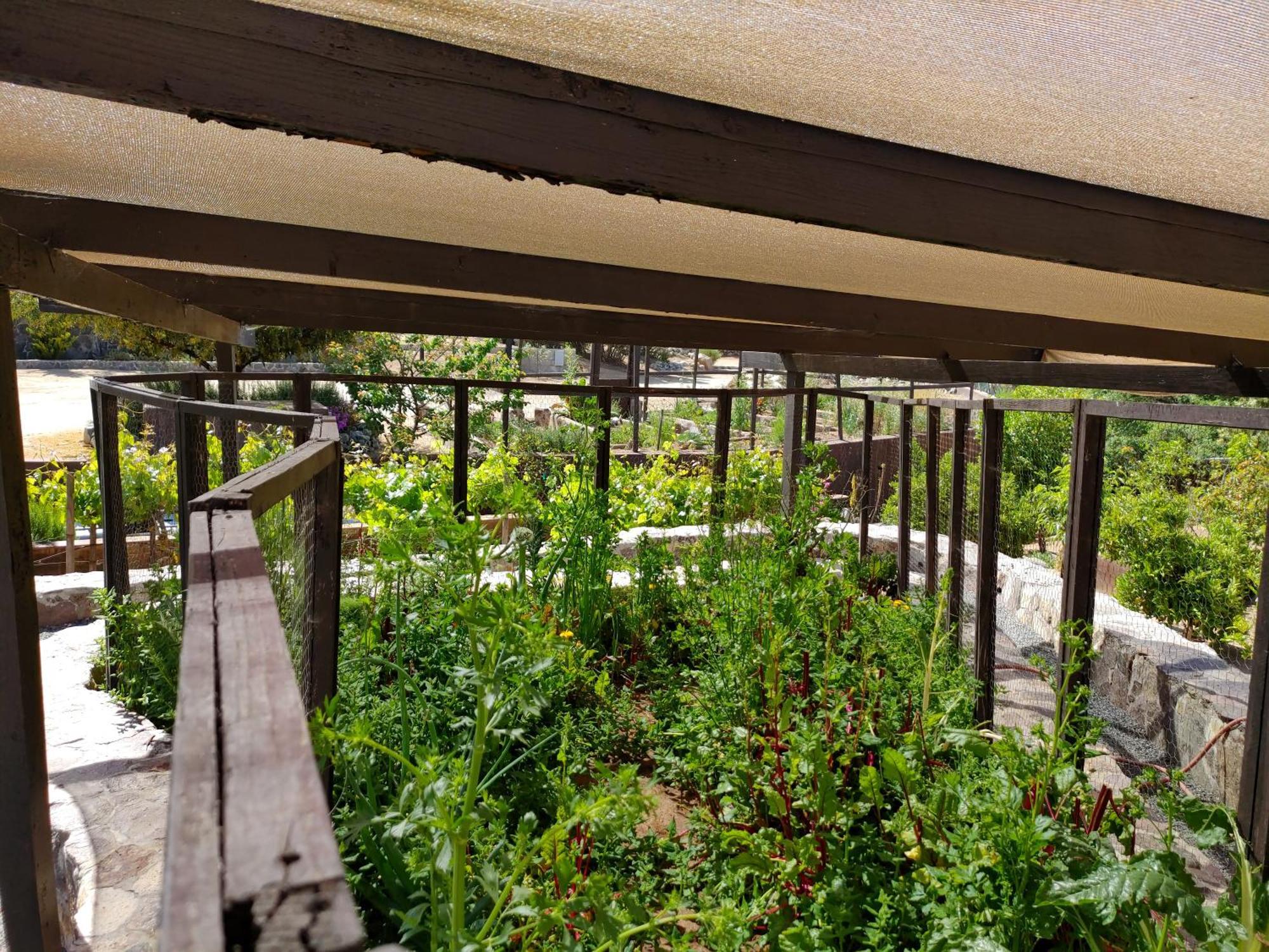 Hacienda Eco-Domes Villa บาเย เด กัวลาลูเป ภายนอก รูปภาพ