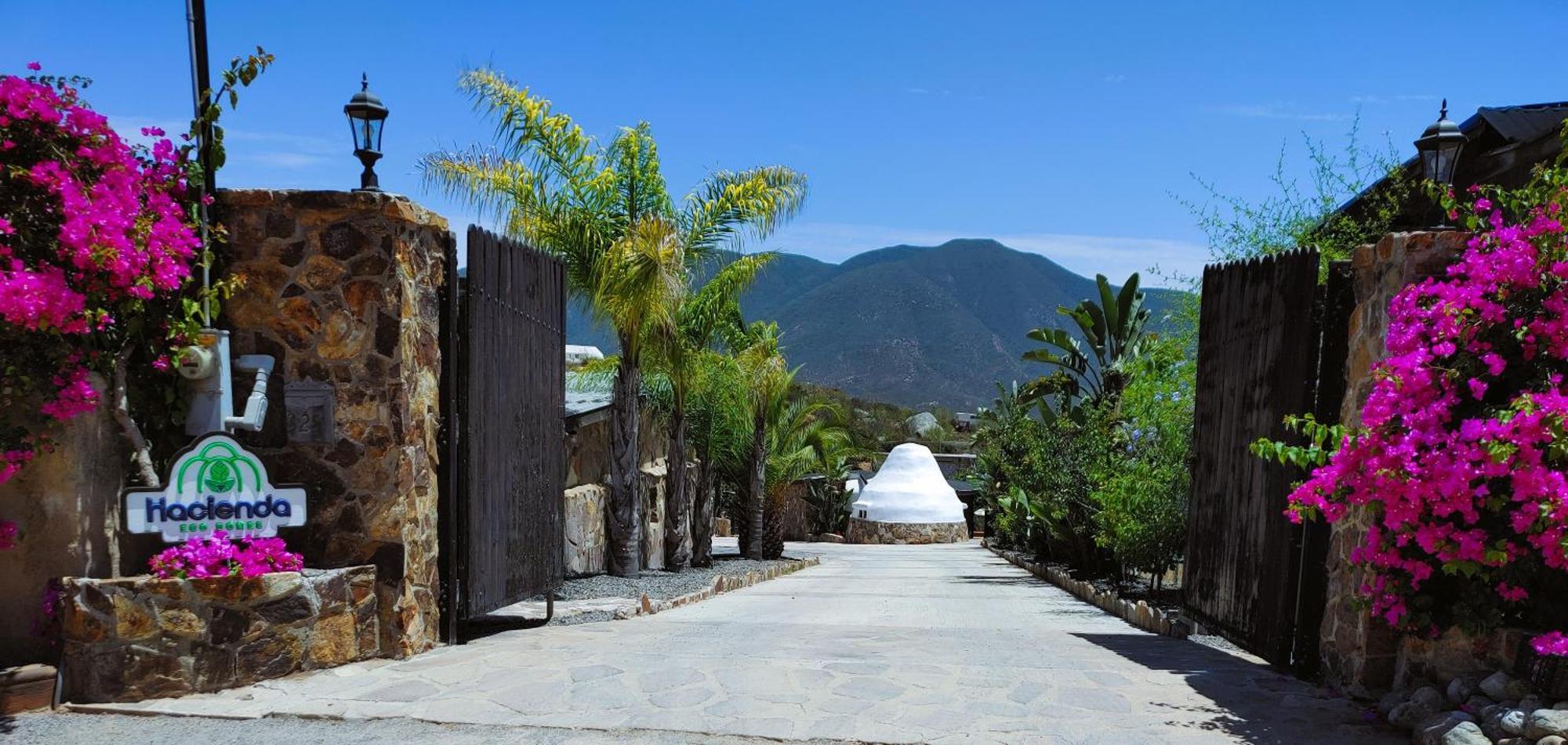 Hacienda Eco-Domes Villa บาเย เด กัวลาลูเป ภายนอก รูปภาพ